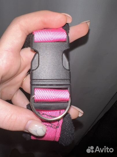 Ошейник на заказ