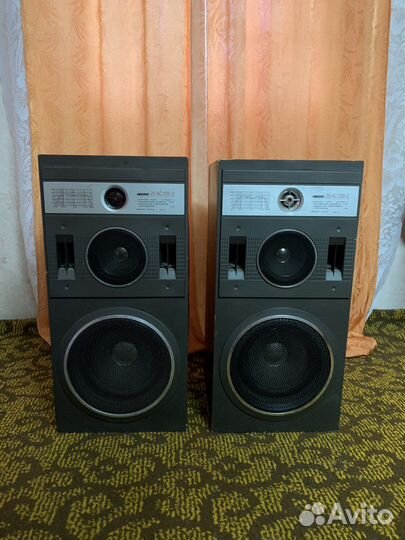 Колонки Вега 25ас 109-2