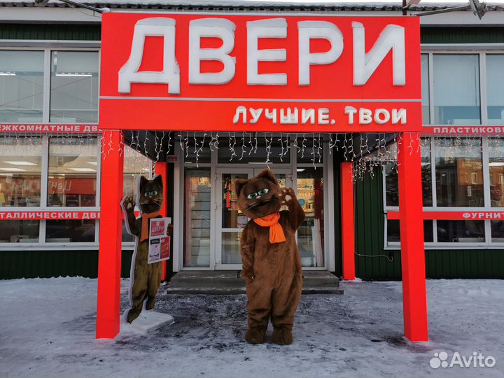 Дверь межкомнатная эмаль