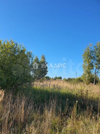 Участок 23 сот. (СНТ, ДНП)