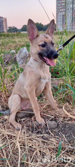 Молоденькая девочка