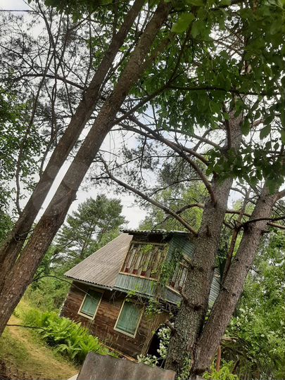 Дача 45,7 м² на участке 10 сот.