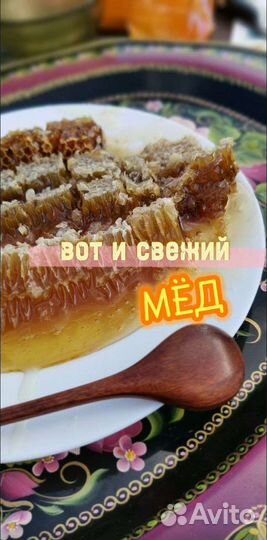 Мёд цветочный 2023 