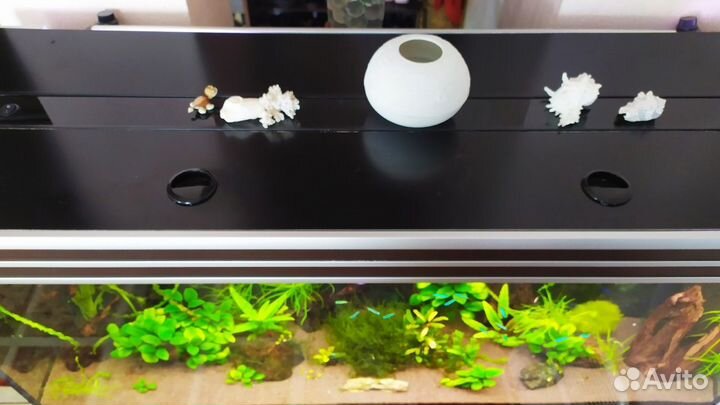 Аквариум Aquatlantis Evasion 240 литров