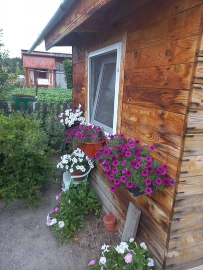 Дача 42 м² на участке 6 сот.