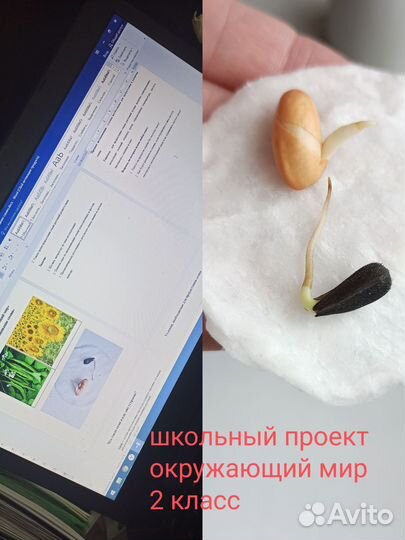 Проект школьный