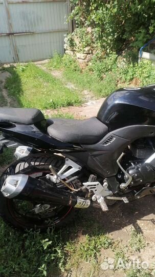 Falcon. Speedfire250 sport