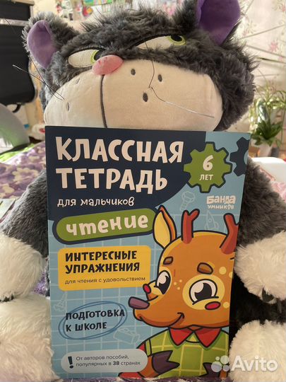 Классная тетрадь для мальчиков. Банда умников