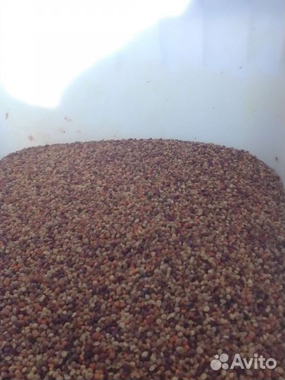 Цветочная пыльца