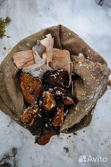 Чага Куском Красивая