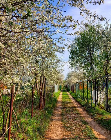 Дача 60 м² на участке 3 сот.