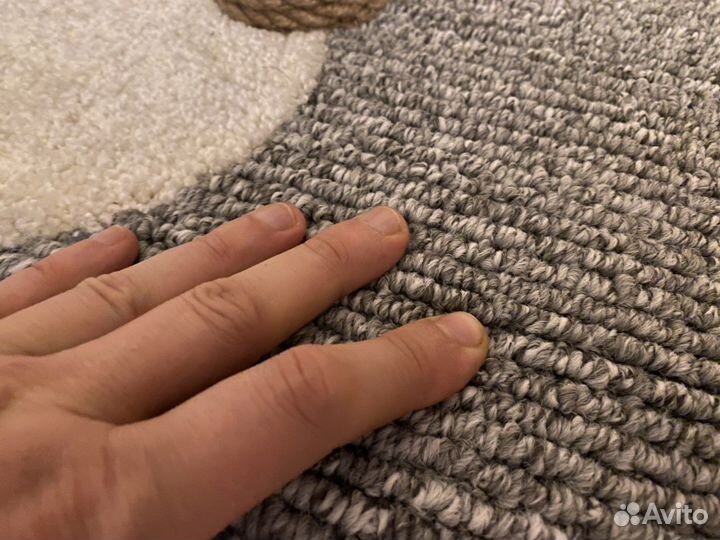 Когтеточка