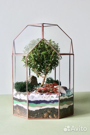 Флорариум 