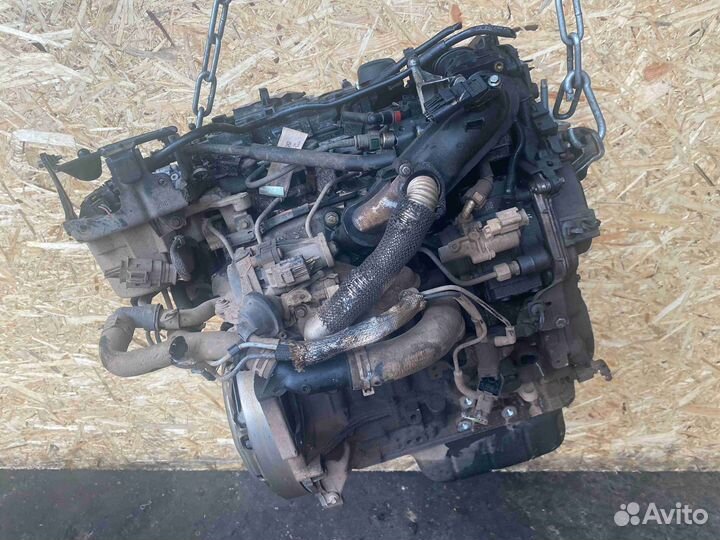 Двс (Двигатель) Ford Focus (2011-2014) T1DB