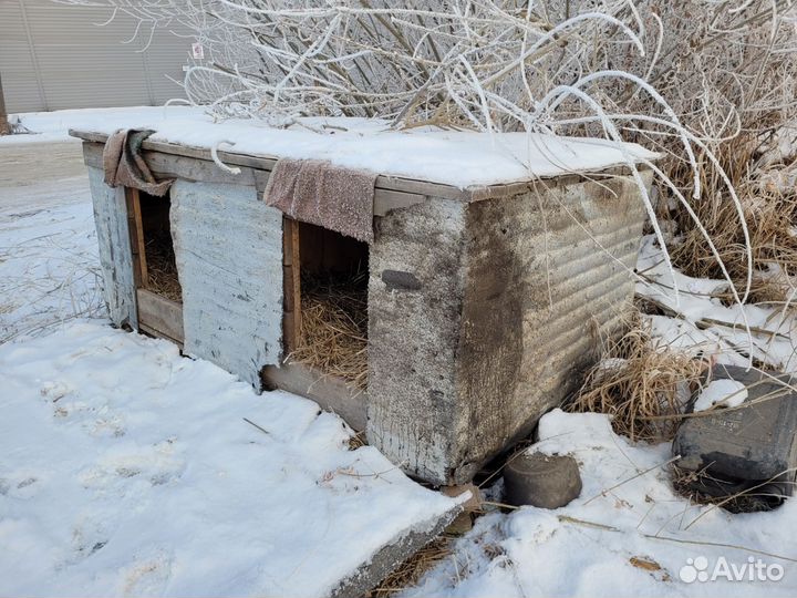 Будка для собаки утепленная