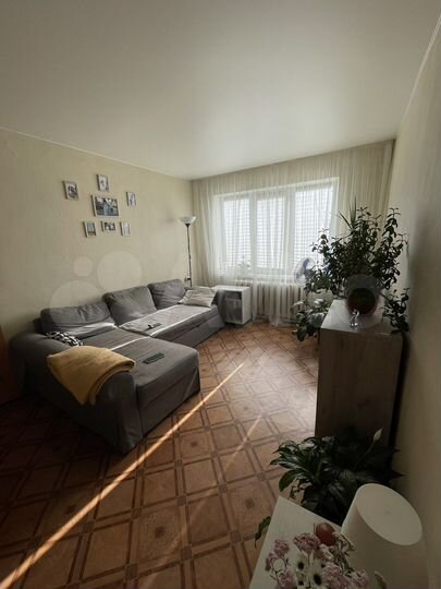 1-к. квартира, 31,8 м², 2/2 эт.