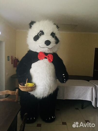 Поздравление Белый мишка и Аниматор Панда