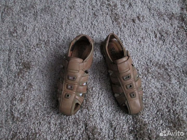 Сланцы