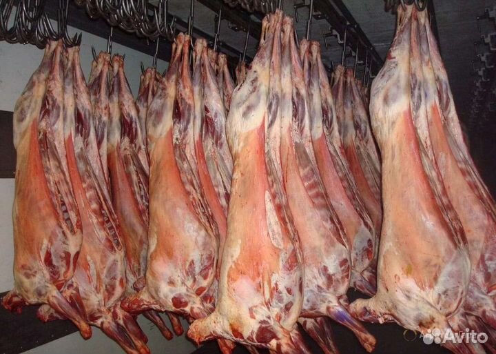 Мясо говядина с доставкой