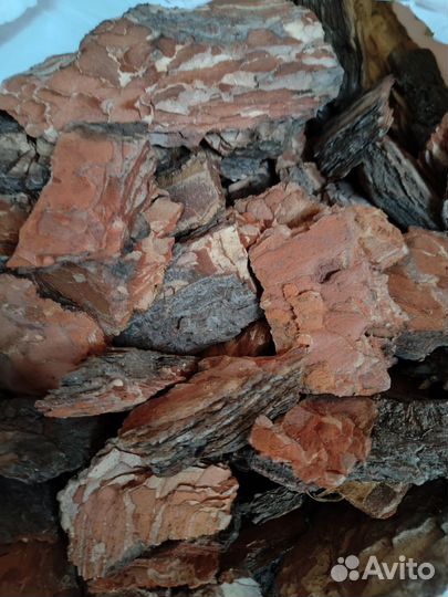 Мульча сосны, кедры кора