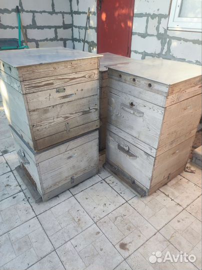 Ульи Дадана, двухкорпусные, 12 рамочные