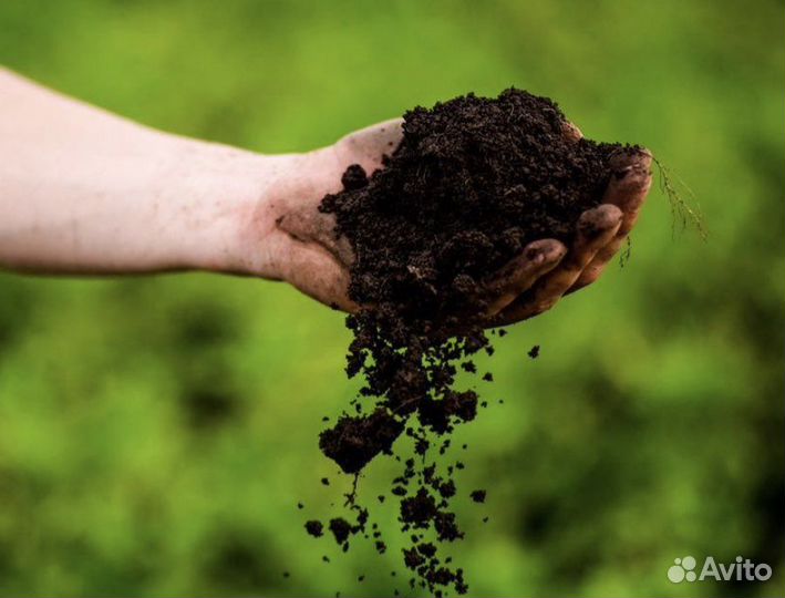 Чернозем в мешках купить плодородная земля