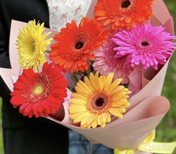 Герберы. Цветы с Доставкой