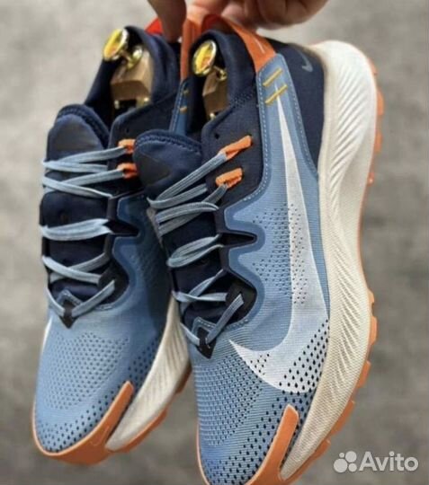 Кроссовки nike Pegasus Trail 2