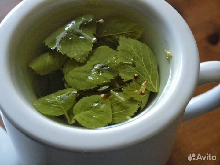 Лист берёзы