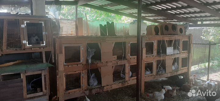 Продам клетки для кроликов