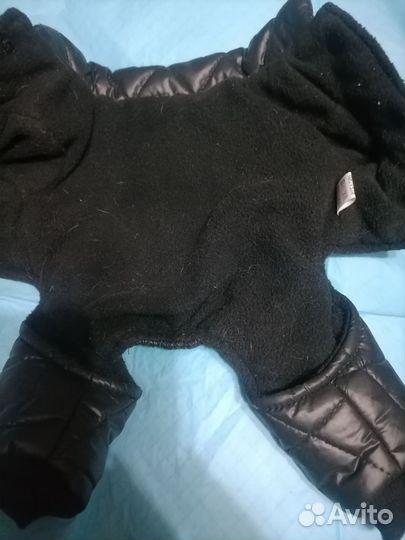 Костюмчик для маленькой собачки