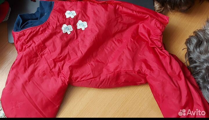 Одежда для собак дождевики