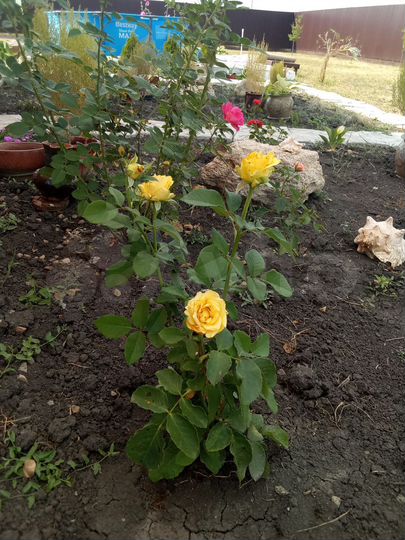 Дача 54 м² на участке 8 сот.