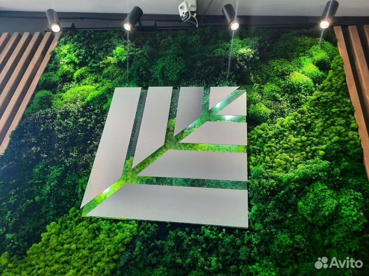 Панели из стабилизированного мха по вашим размерам