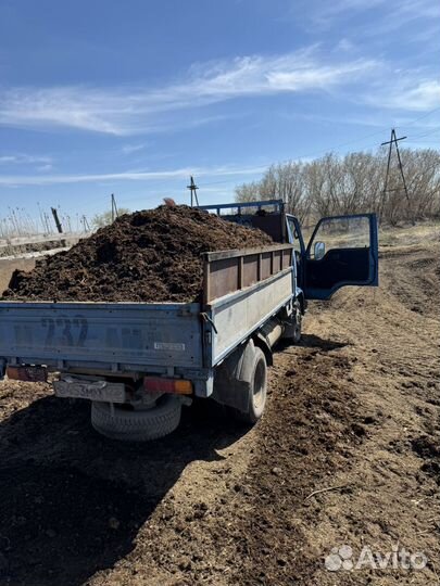 Перегной земля