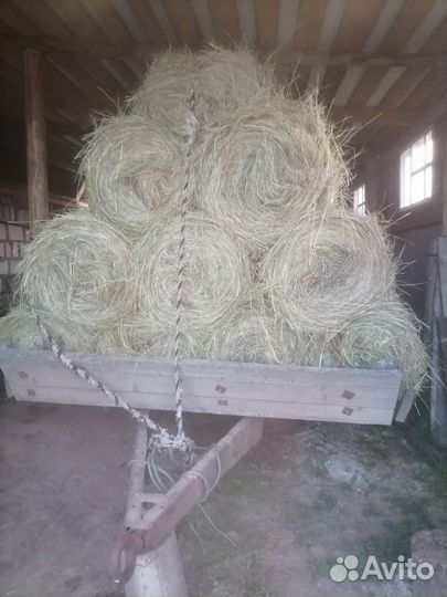 Сено в мини рулонах