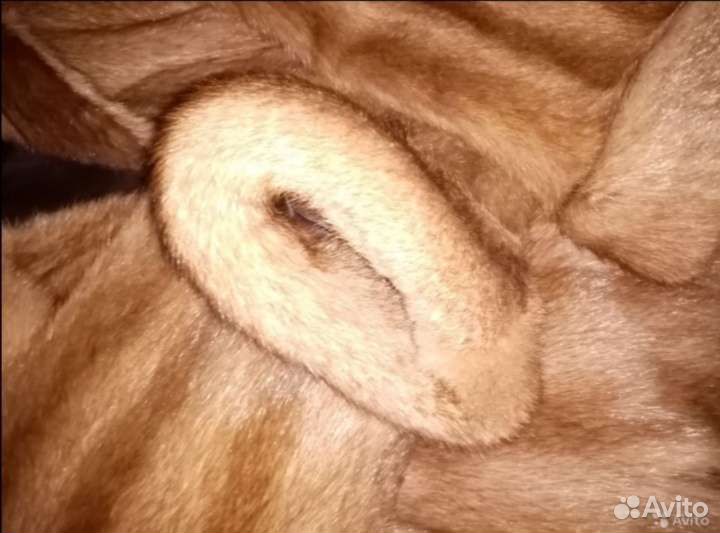 Шуба из сурка