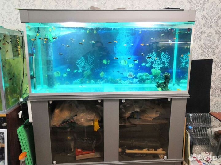 Аквариум