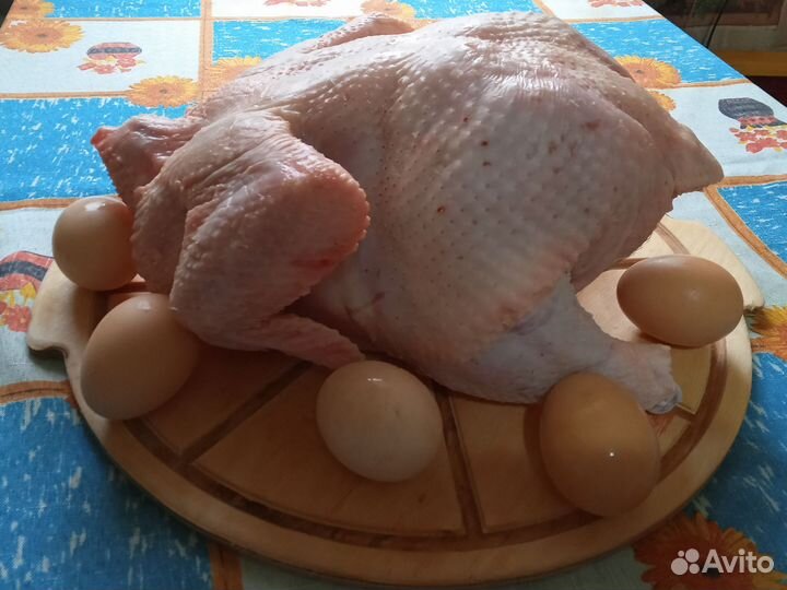 Курица домашняя бройлер