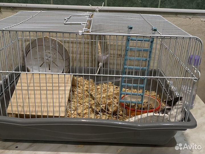 Клетка для грызунов