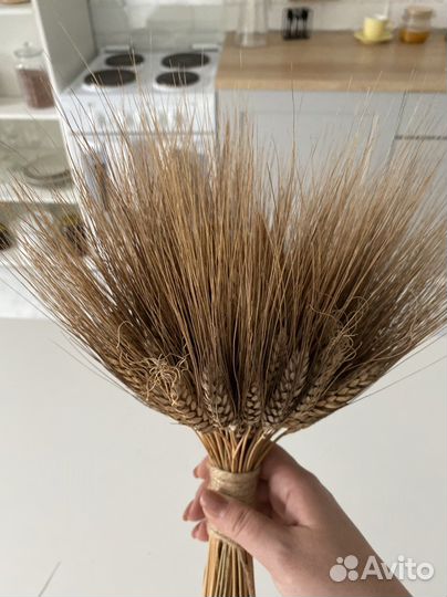 Букет из сухоцветов