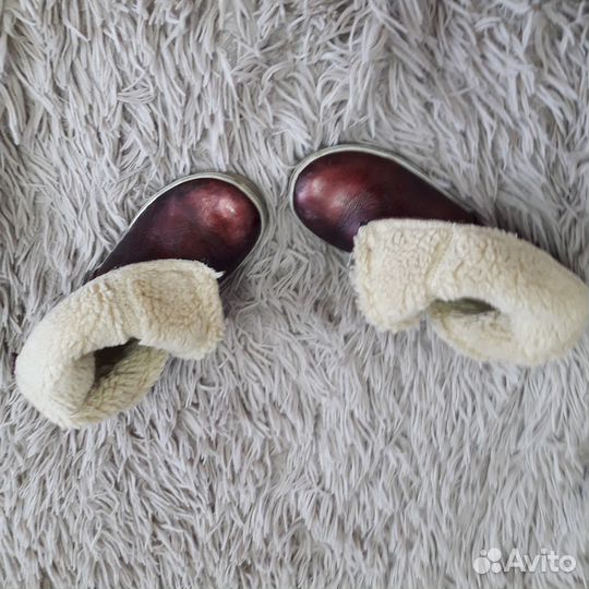 Демисезонные сапоги для девочки 24р