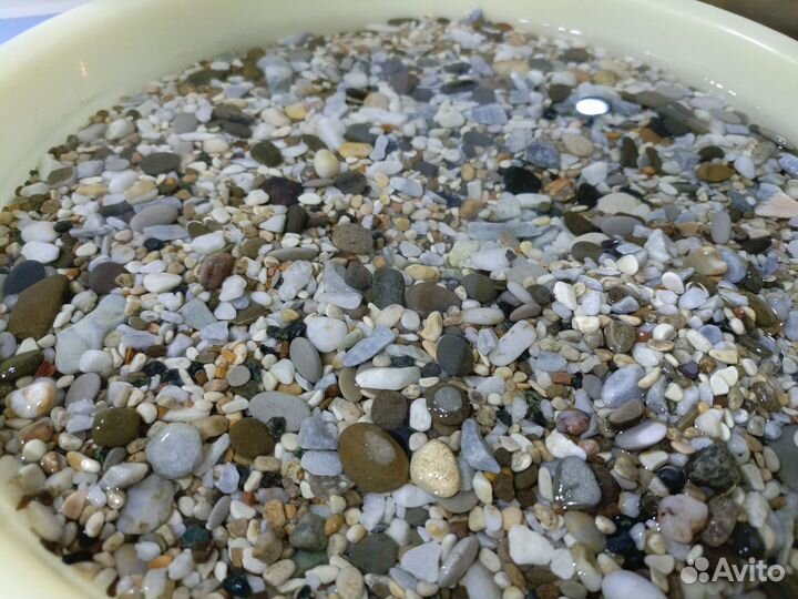 Декор и оборудование для аквариума