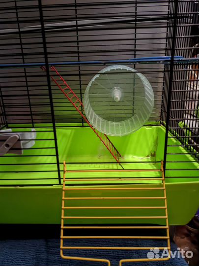 Клетка для грызунов, птиц Inter zoo,с наполнением