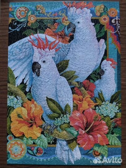 Пазлы на 1500 и 1000 деталей