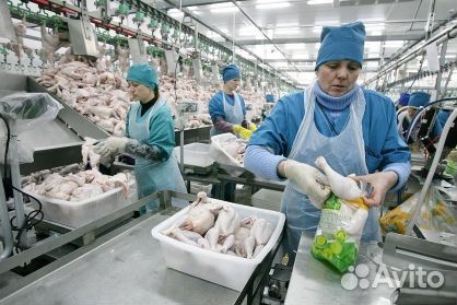 Упаковщик с проживанием и питанием. Вахта