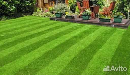 Рулонный газон /продажа/укладка