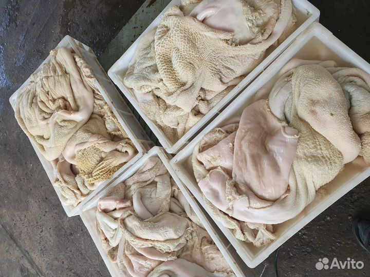 Рубец говяжий, легкое, субпродукты, обрезь, трахея