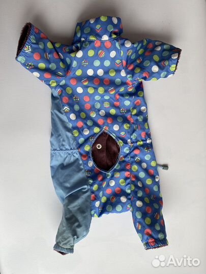 Комбинезоны для собаки мелкой породы