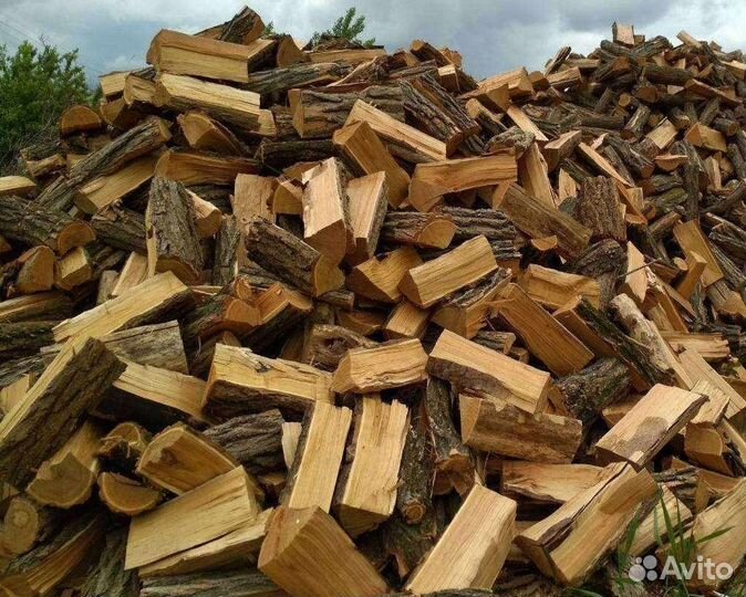 Дрова сосна,вяз,дуб,ясень,колотые кругляк